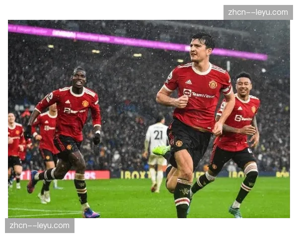 曼联对阵埃弗顿比赛因球迷闯入球场中断五分钟，涉事者被带离